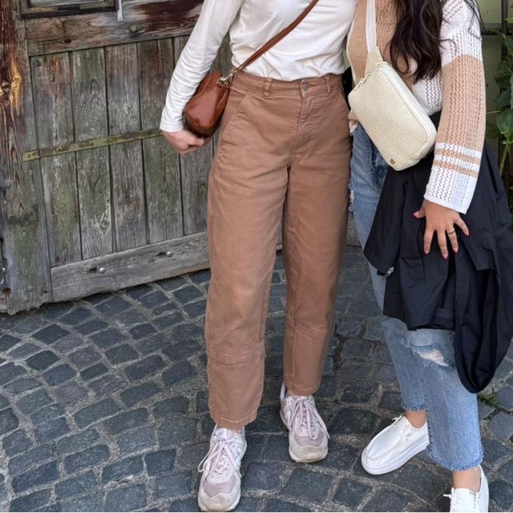 Everlane Tan Ankle Cropped Pants
